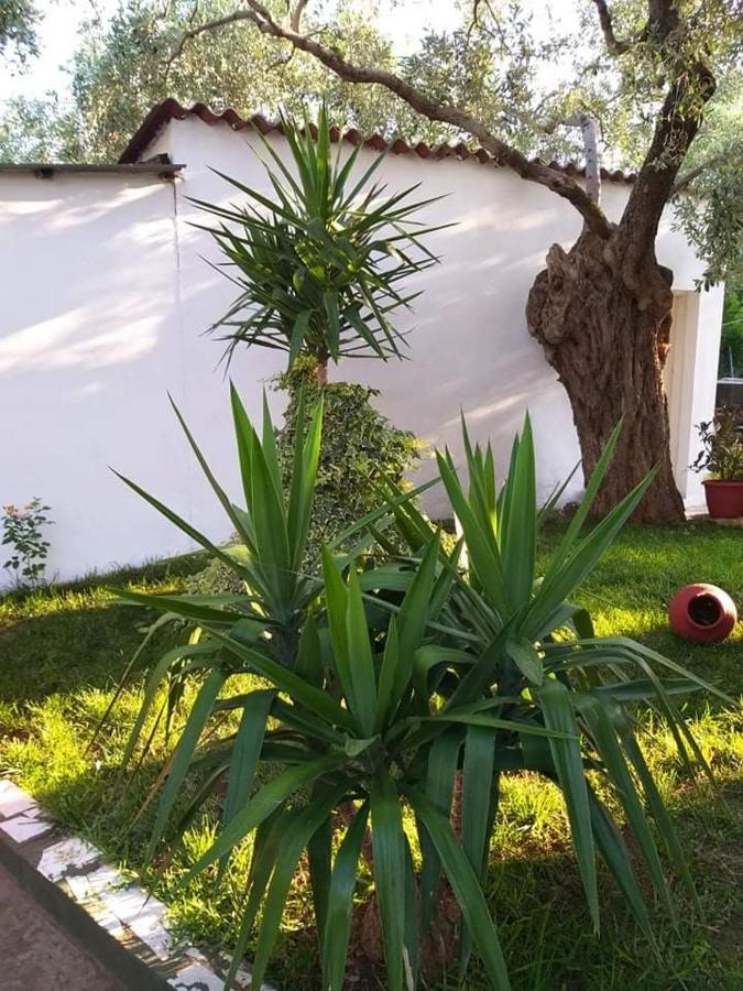 Valia House Thassos Apartment Skala Kallirakhis Bagian luar foto