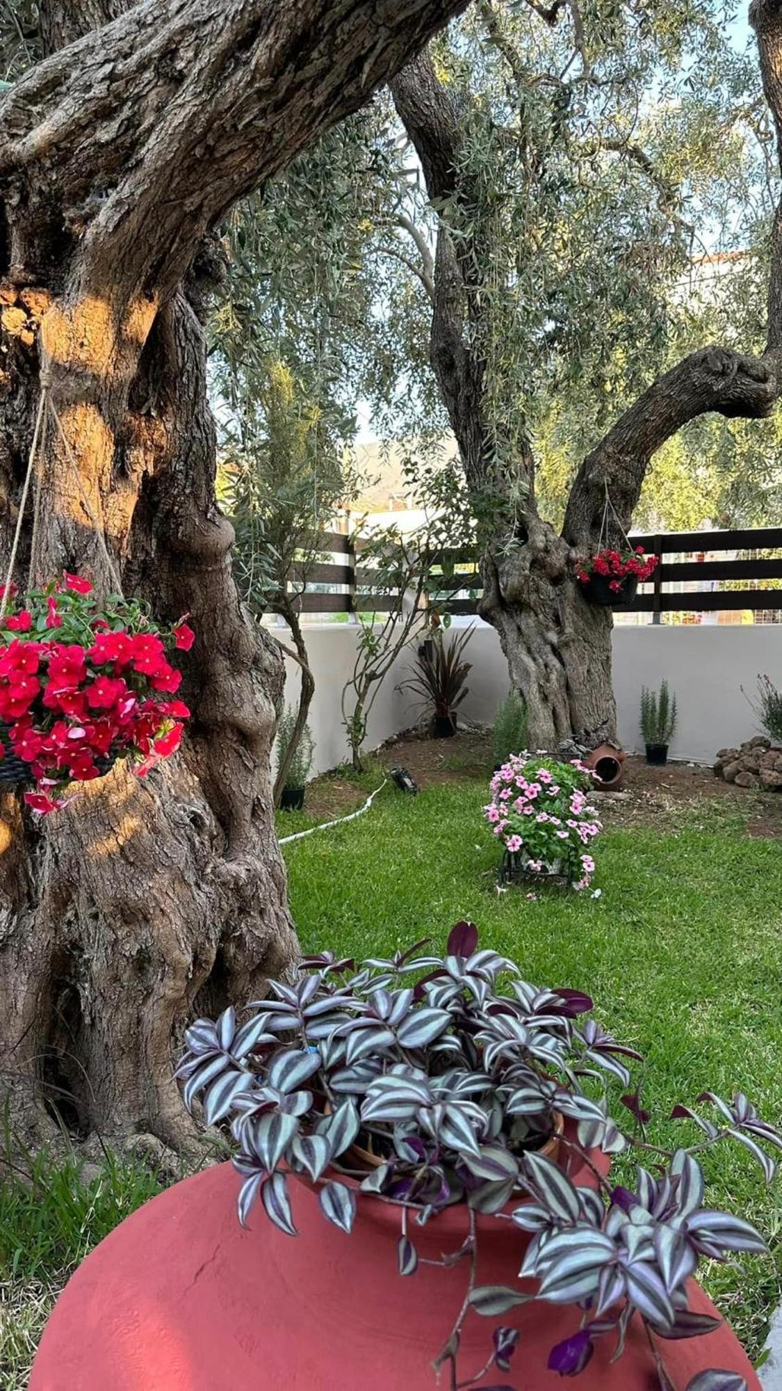 Valia House Thassos Apartment Skala Kallirakhis Bagian luar foto